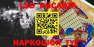 прущие грибы Краснокаменск