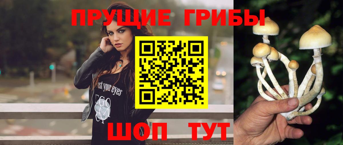 Псилоцибиновые грибы Psilocybe  Галлюциногенные грибы Magic Shrooms  Вход с VPN  Саки 