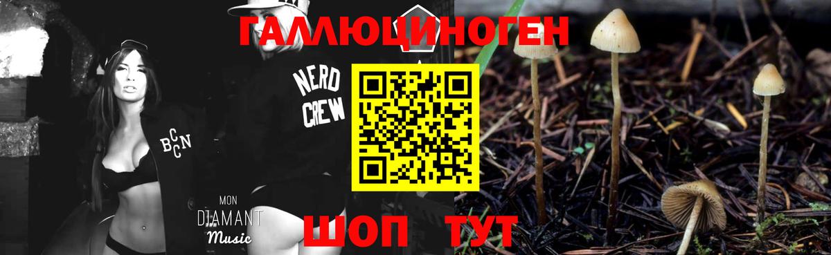 Галлюциногенные грибы MAGIC MUSHROOMS Саки